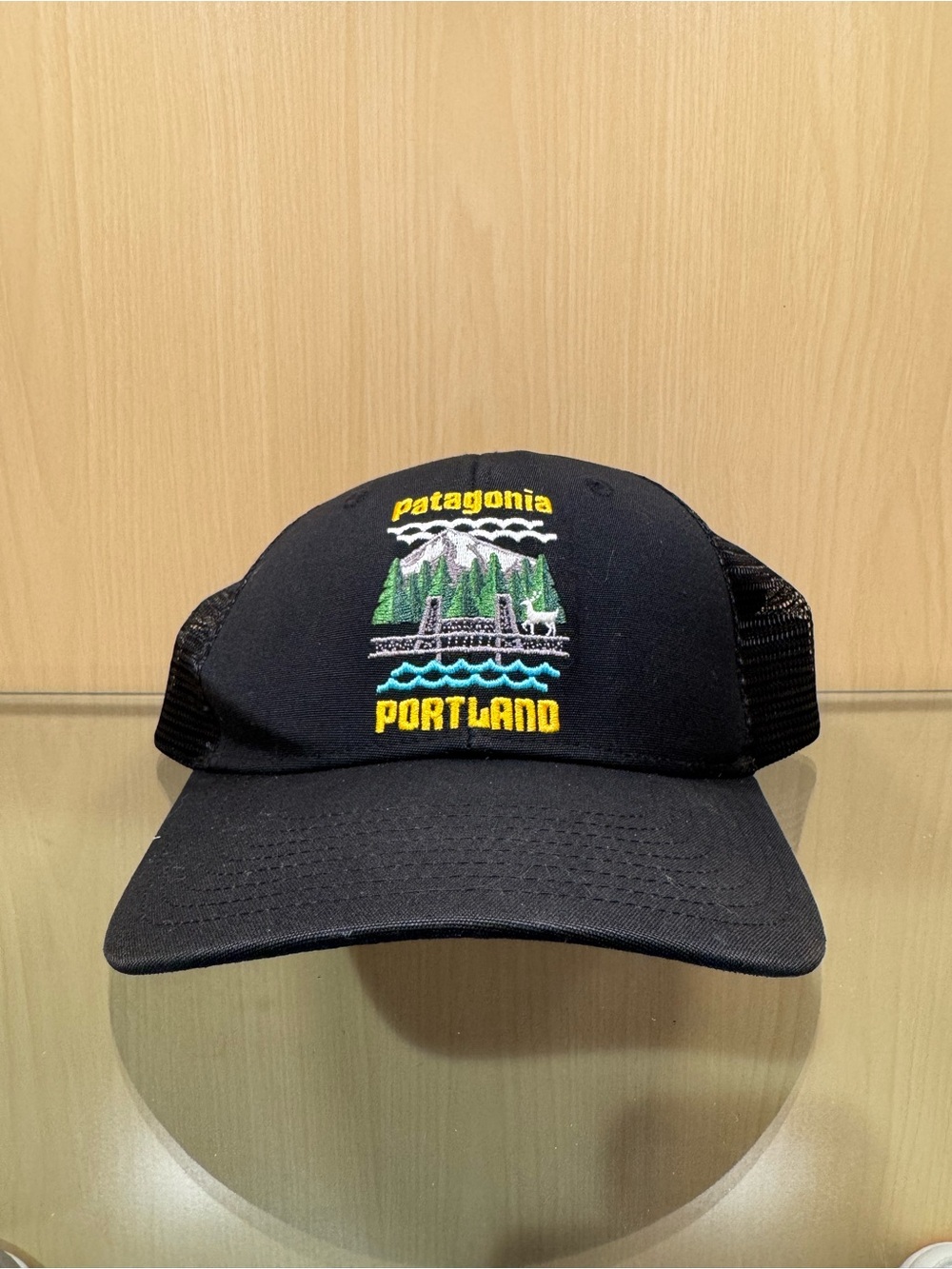 Patagonia Portland SnapBack Trucker hat